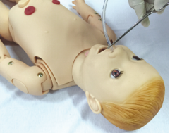 Pediatric Nasogastric Tube Feeding Training Model – Life-Size Child NG Tube Simulator