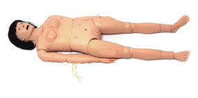 Advanced Adult Tracheostomy Suction and Nursing Training Model JY/H126 | Clinical Nursing Skills Simulator