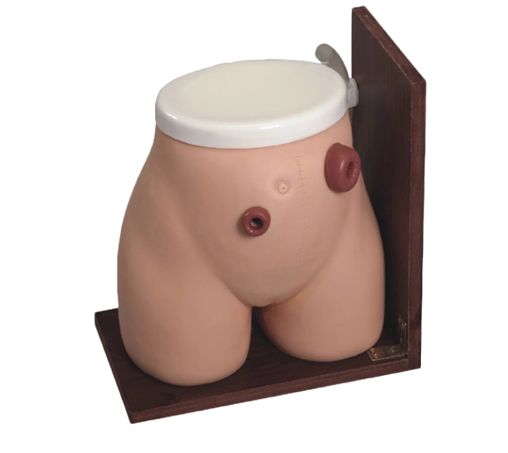Advanced Ostomy Care Training Model | Fistula Stoma Nursing Simulator