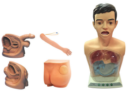 New Basic Nursing Practice Manikin (Five-Part Model) – JY/H7 Nursing Training Simulator