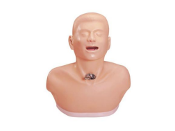 Advanced Adult Tracheostomy Care Manikin – JY/H23 for Clinical Nursing Training
