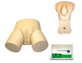 Electronic Urinary Catheterization & Enema Training Model – JY/H27 for Clinical Nursing Education