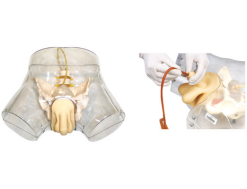 Transparent Male Urinary Catheterization Training Model – JY/H16E for Nursing Education