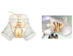 Transparent Female Urinary Catheterization Training Model – JY/H16F for Nursing Education