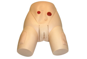 Advanced Female Urinary Catheterization Training Model – JY/H17F for Nursing Education
