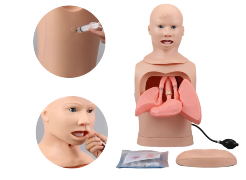 Nasogastric Tube and Airway Care Training Manikin – Medical Teaching Model for Schools & Hospitals