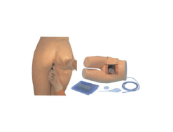 Advanced Enema and Assisted Defecation Training Model | JY/H35 Nursing Education Simulator
