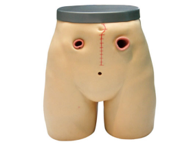 Advanced Fistula and Ostomy Care Training Model | JY/H38 Stoma Nursing Simulator