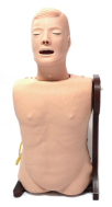 Advanced Nasogastric and Tracheal Care Training Model | Adult Male Upper Torso Simulator