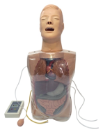 riple-Lumen Two-Balloon Tube Training Model | Advanced Gastric and Airway Care Simulator