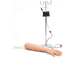 Advanced Intravenous Injection Training Arm Model | Realistic IV Practice Arm for Nursing and Medical Education