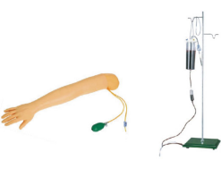 Advanced Arterial Puncture Training Arm Model