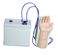Advanced Arterial Blood Gas Training Arm Model