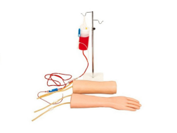 Hand & Elbow Combined IV Training Arm Model